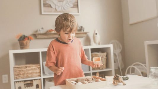 How to Plan a Montessori Curriculum