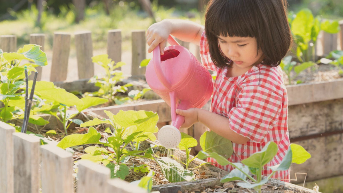 How to Set Up a Montessori Garden for Hands-On Learning
