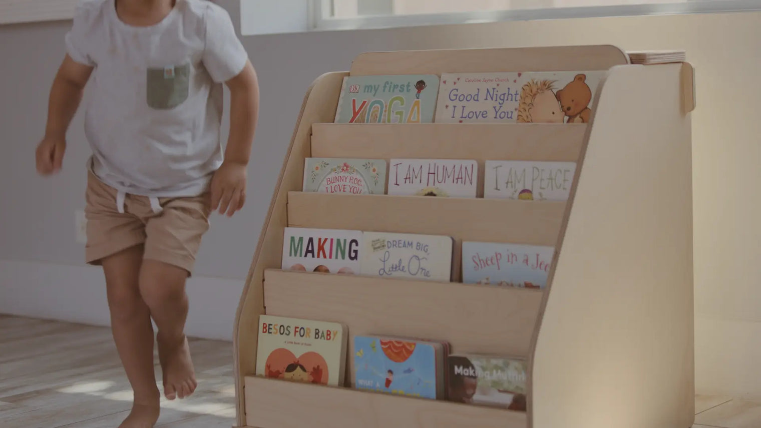 A variety of children's books displayed on the best Montessori bookshelf by Dannico