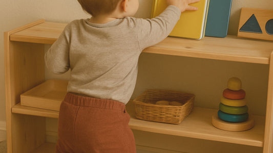 The Ultimate List of the Best Montessori Bookshelves for Toddlers: From IKEA Hacks to Solid Wood